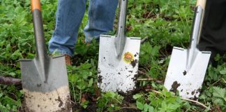 Turin Garden di Torino 1142 0 Turin Garden di Torino
